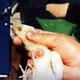 Illustration for article titled The Technology of Turkey Harvesting Uncovered
